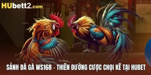sảnh đá gà ws168